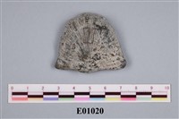 藏品(石燕及其他腕足動物)的圖片